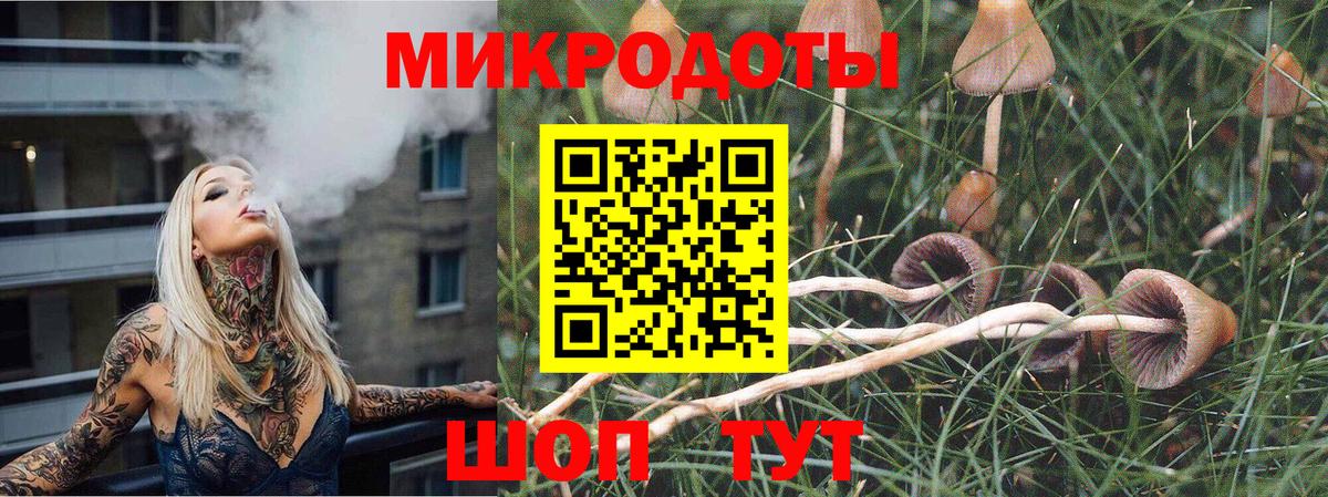 Псилоцибиновые грибы GOLDEN TEACHER Каменка