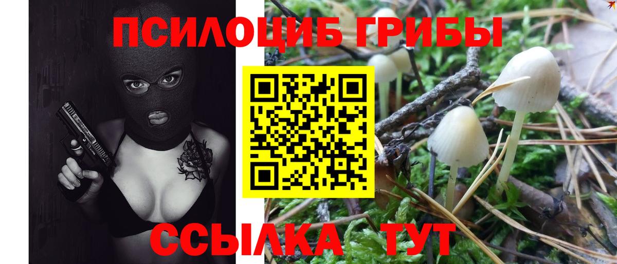Каменка  Псилоцибиновые грибы мицелий  Вход с VPN 